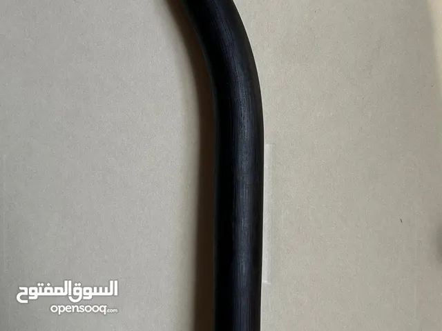 خيزران سنغافوري