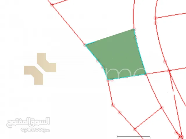 Commercial Land for Sale in Amman Airport Road - Manaseer Gs