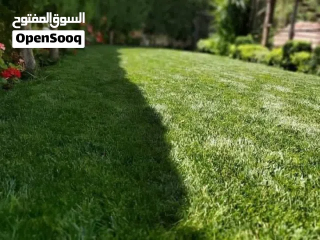 نجيل طبيعي للحدائق والمزارع والجلسات الخارجية
