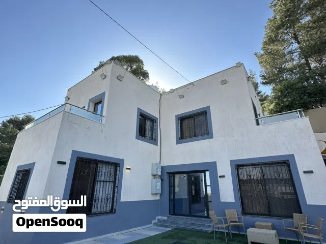 Luxury Chalet in Jerash  Private Pool & Nature Views
