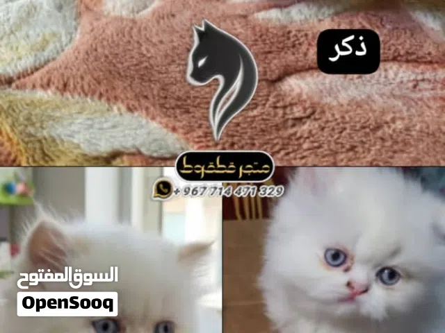 هملايا اورنج بوينت