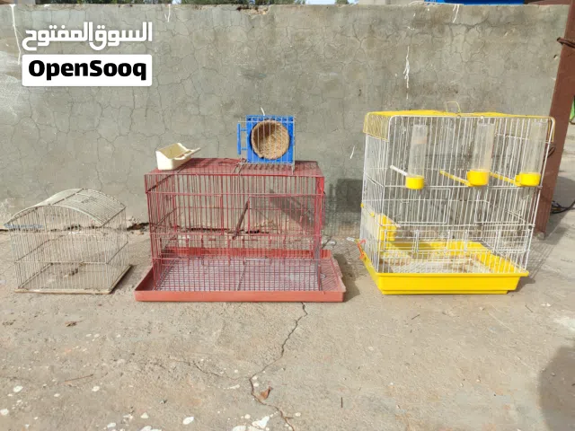 اقفاص عصافير بقلينو وحضانة