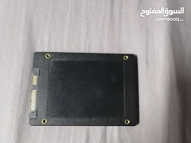 2025 SSD 256 G
