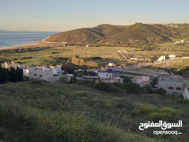 أراضي للبيع جهة طنجة القصر الصغير منطقة واد أليان قرية امغارش أثمنة مناسبة مساحة حسب
