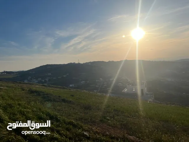 اربع دونم راس جبل مرتفعة الكمشة للبيع