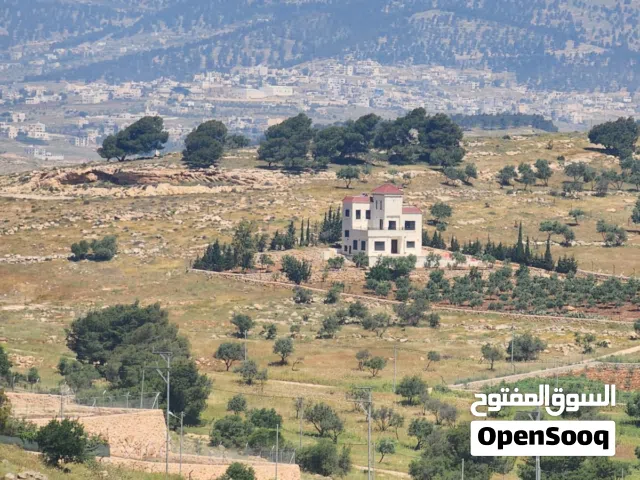 ارض للبيع جرش عنيبه