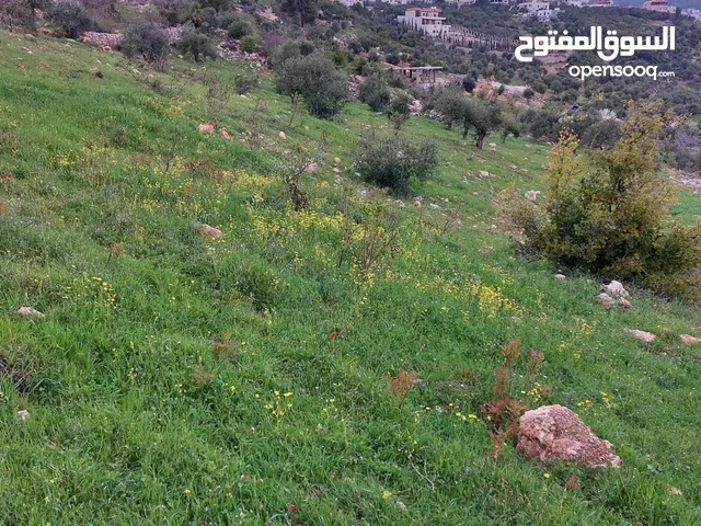 Mixed Use Land for Sale in Jerash Sakib