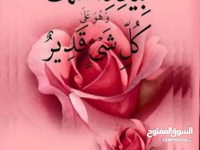رعد نادر علي الفاعوري