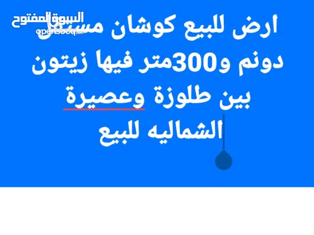 ارض للبيع  كوشان مستقل بين طلوزة وعصيرة