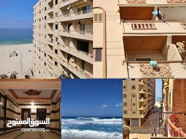 شقة مصيف لقطة ترى البحر بالاسكندرية في العجمي شاطى الصفا بمقدم 150 ألف و الباقي تقسيط بدون فوائد