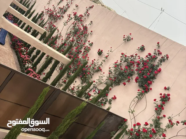 2 Bedrooms Farms for Sale in Zarqa Birayn