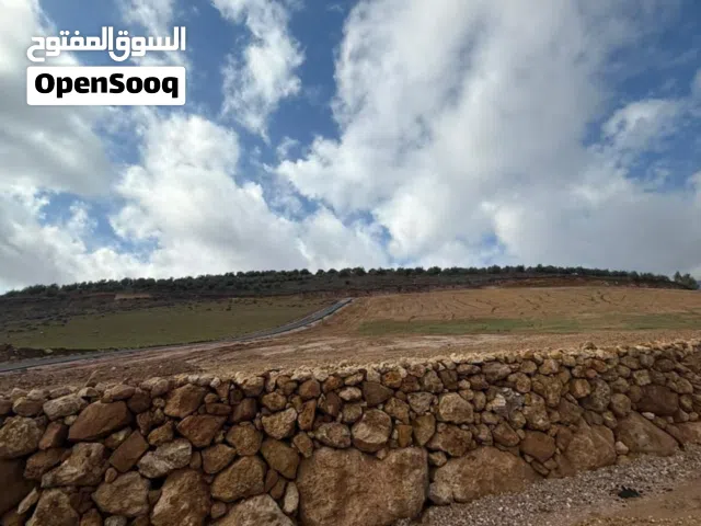 Farm Land for Sale in Jerash Al-Majdal
