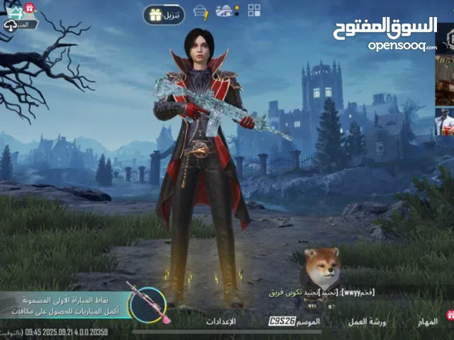 Pubg Accounts and Characters for Sale in Abu Dhabi