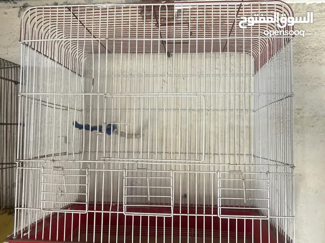 فقاص طيور للبيع ثلاث معالف