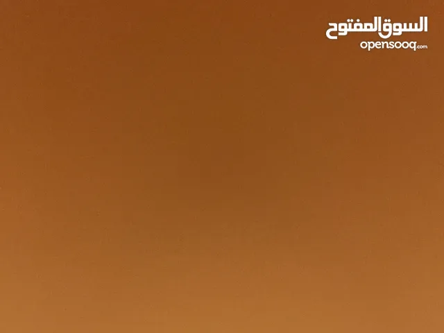 ضياء البرغوثي