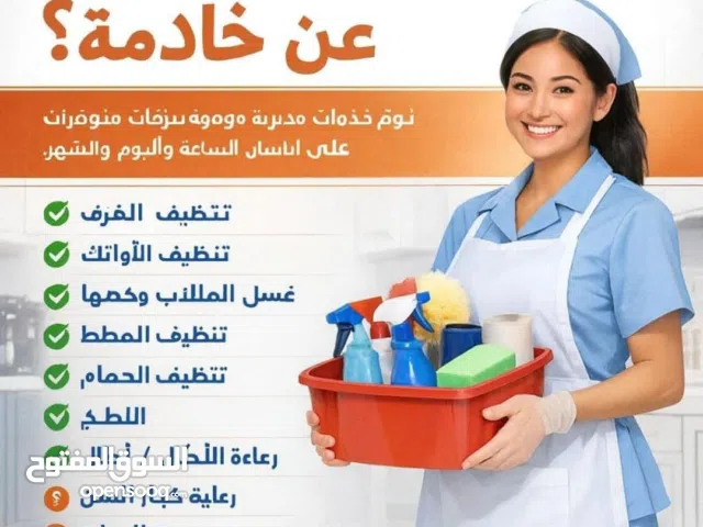 We are offering Cleaning Services part time, Door to Door and Full-Time
