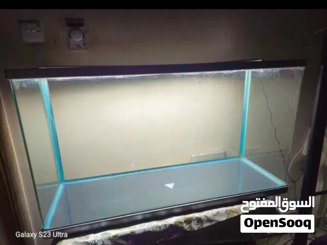 حوض سمك كبير جيد جدا