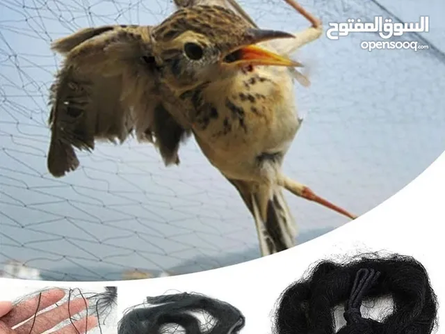شبك لصيد الطيور
