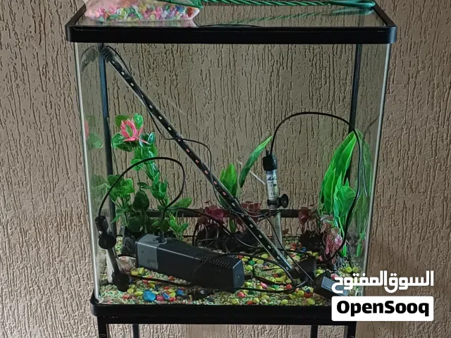 للبيع حوض سمك جديد مع كامل اغراضه
