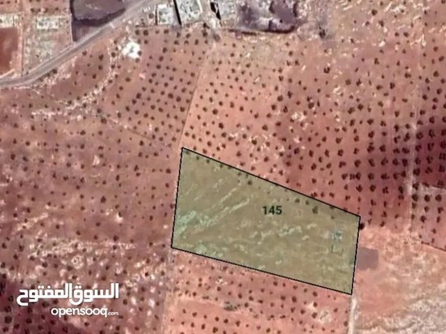  Land for Rent in Irbid Al-Mughayer