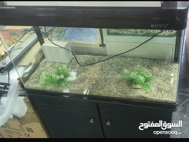 حوض سمك اجنبي مع طاوله ماركه BOYU قياس عرض متر العمق 30 سم ارتفاع 45 سم
