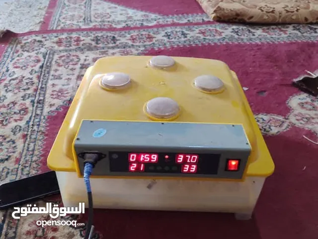 فقاصه درجة اولي للبيع