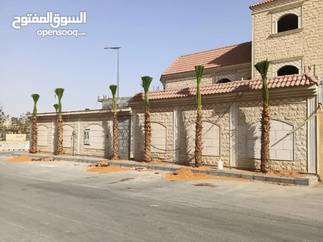 نخل واشنطني زينه ملكي درجة أولى ابو مروحه امريكي علا الضمان جوده عاليه وعمل مدربين ت