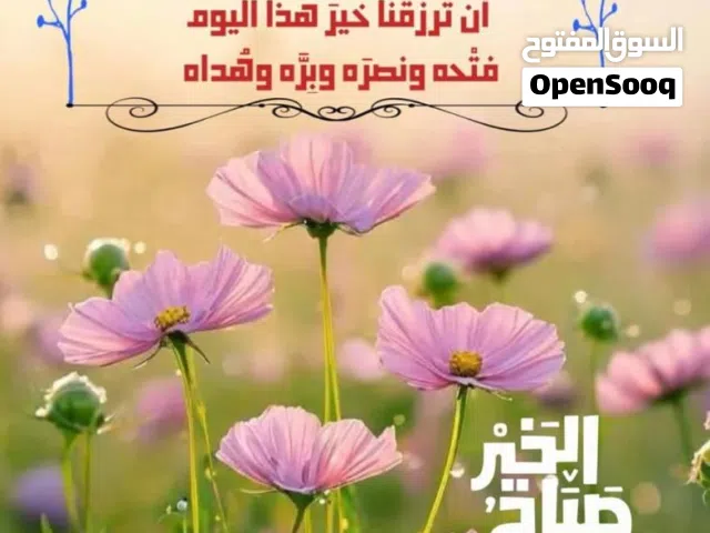 320 m2 4 Bedrooms Apartments for Rent in Tripoli Hai Alandalus