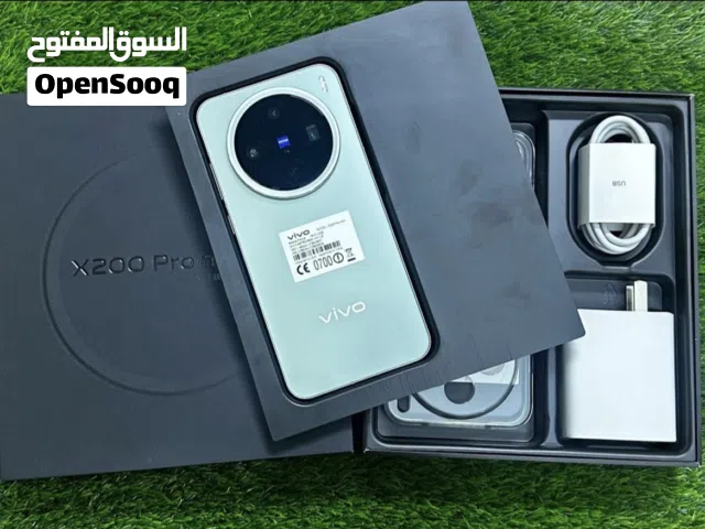 Vivo X200 Pro mini