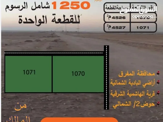أرض للبيع من المالك 4 دونم 527 م المفرق الهاشمية الشرقية بسعرمغري 1250 لكامل القطعة شامل الرسوم
