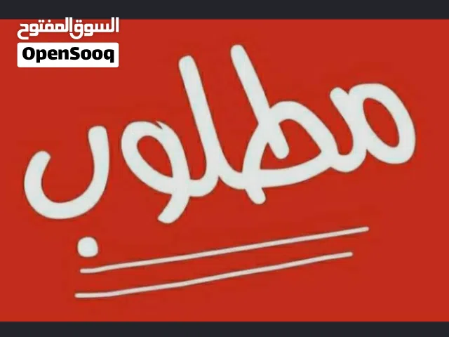 مطلوب خروف فلوسي 1000