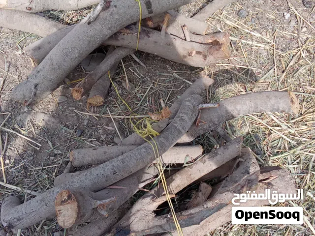 حطب سمر متوفر
