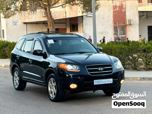 سنتافي 2008/2009