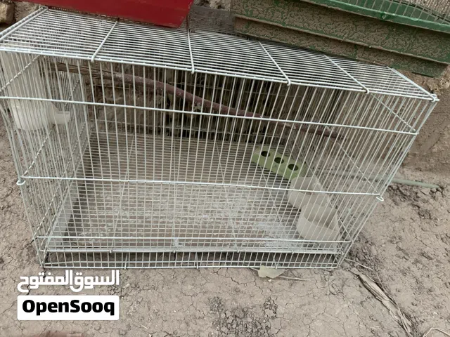 اقفاص كناري مستعمله عدد سته مختلف احجام نضيفات