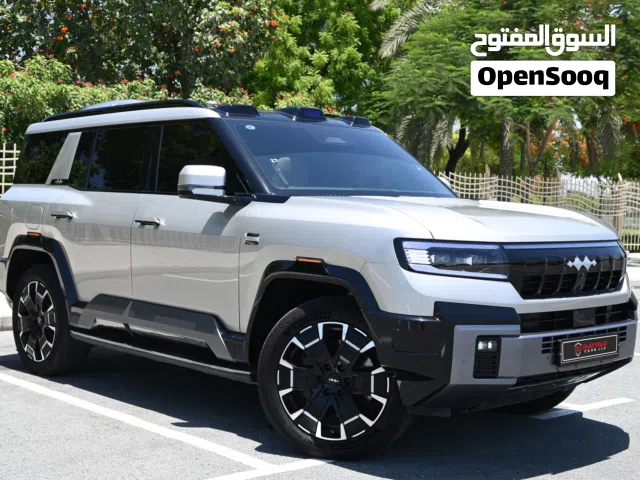 2025 بي واي دي ليوبارد 8