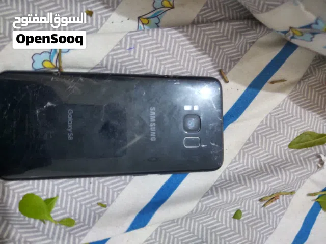 Samsung Galaxy S8 64 GB in Ibb
