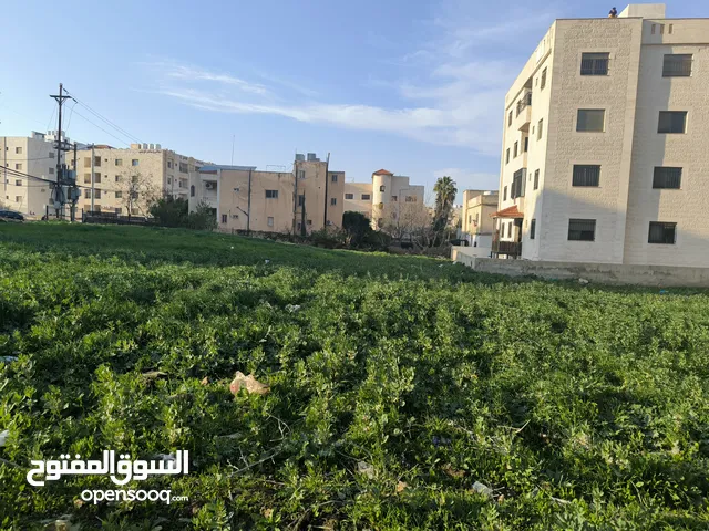 Mixed Use Land for Sale in Irbid Aydoun