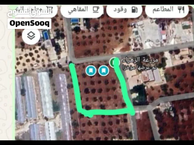 أرض زراعيه للبيع مزروعه زيتون وعنب