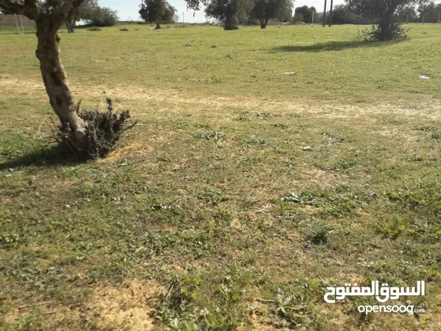 Residential Land for Sale in Jafara Other