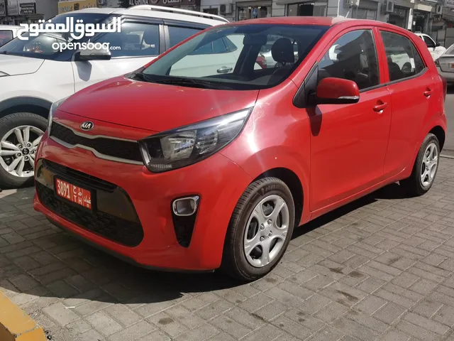 Kia Picanto  2019 Model For Rent in Excellent Condition