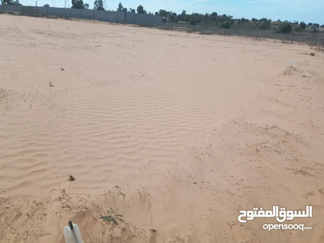 Residential Land for Sale in Tripoli Wadi Al-Rabi