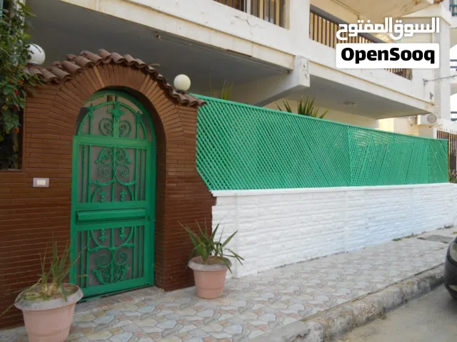 180 m2 3 Bedrooms Apartments for Rent in Alexandria Maamoura