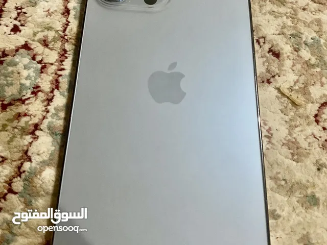iPhone 13 Pro Max 256GB