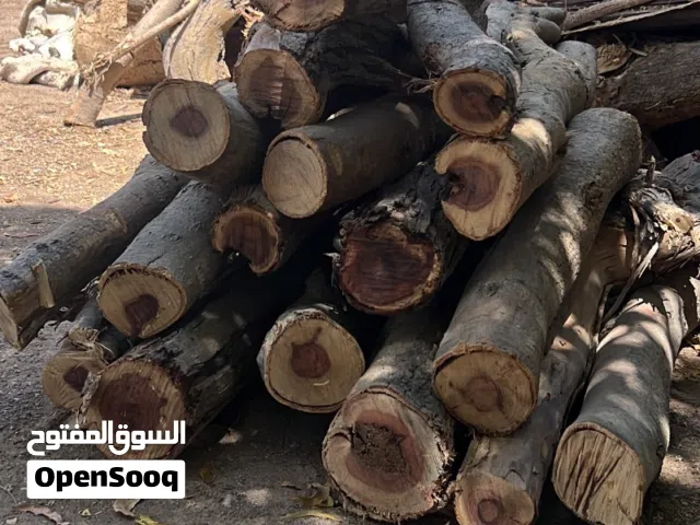 حطب سمر نظيف وجديد