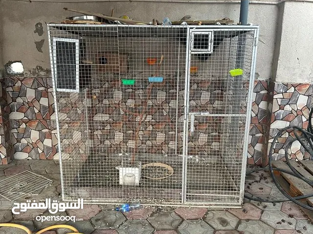 اقرا الوصف قبل تتواصل معي قفص لطيور ممتاز ونظيف