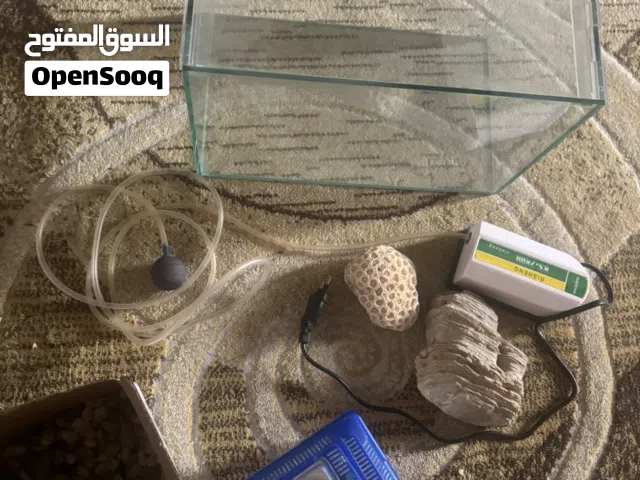 حوض سمك منزلي