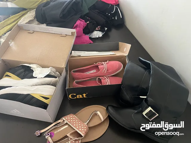 All brand new shoes adidas / caterpillar -