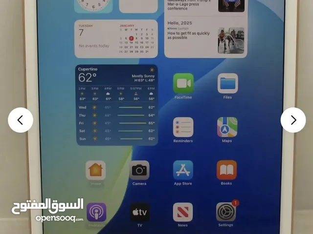 Ipad mini 5 white colour
