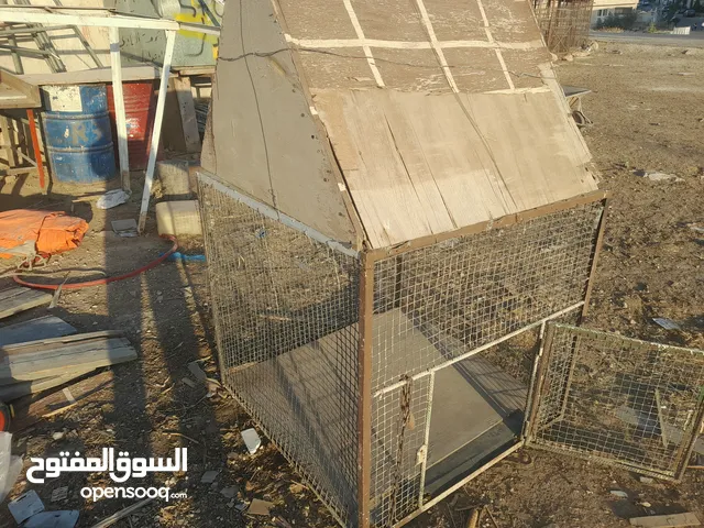 قفص عصافير كبير