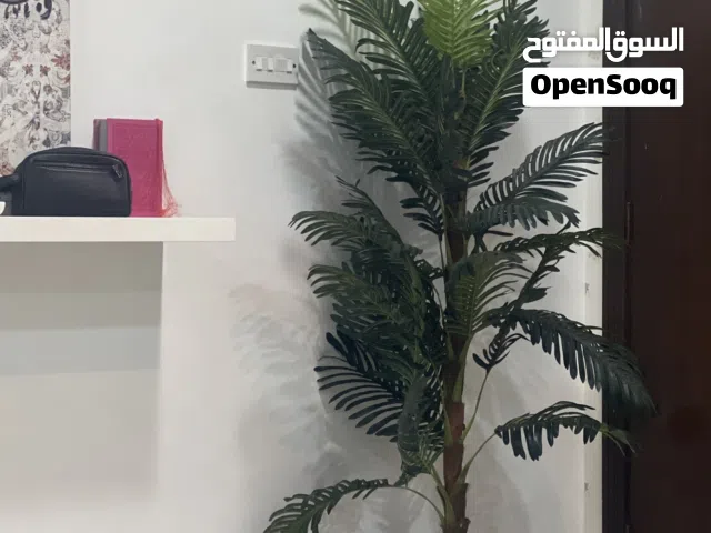 شجرة كبيره مع كوڤر بحالة ممتازه